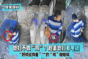 【独家爆料】媳妇不如“鸡”？趁着媳妇看电视“奸鸡给狗看”艹的“鸡”嗷嗷叫！.