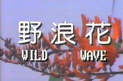 野浪花.