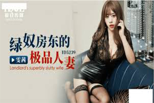 绿奴房东的极品人妻
